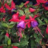 IMG_1804.jpeg
