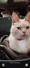 1752174341092.png