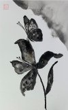 IMG_9243.jpeg