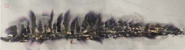 IMG_9249.jpeg