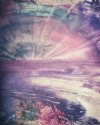 IMG_2426.jpeg