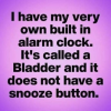 IMG_3675.png
