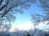 IMG_9357.JPG