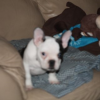 ATT_1418487131467_image001.png