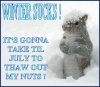 nuts.jpg