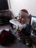 ImageUploadedByDCUK Forum1419547775.469422.jpg