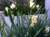 ImageUploadedByDCUK Forum1419578044.521291.jpg