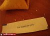 fortune cookie.jpg