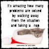 ImageUploadedByDCUK Forum1419631070.082108.jpg
