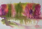 IMG_9539.jpeg