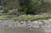 ImageUploadedByDCUK Forum1420607245.546784.jpg