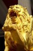 lion.jpg