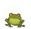 frog43.gif
