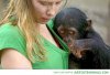 monkey bra.jpg