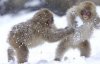 me and leon monkey.jpg