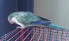 20150118_135824.jpg