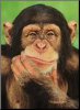 now let me see monkey.jpg