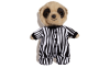 safari-oleg.png