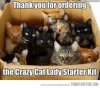 catlady kit.jpg