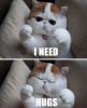 hugs.jpg