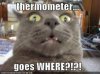 thermometer.jpg