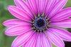 ImageUploadedByDCUK Forum1425204743.625487.jpg