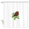 shower curtain.jpg