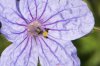 ImageUploadedByDCUK Forum1425894877.178752.jpg