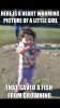 ImageUploadedByDCUK Forum1426111998.899838.jpg