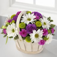 daisychain12