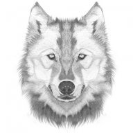 Eddie_S