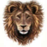 LIONHEART-_-