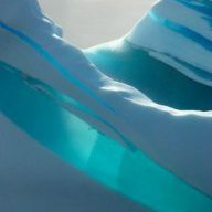 wintertouched