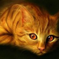 6cats