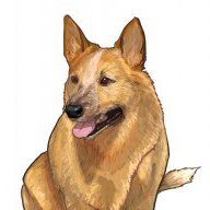 porchdog