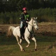 Tazzyxx