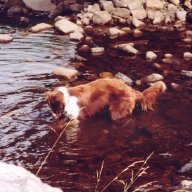heathcliffe