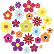 flowerpower13