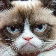 PussInBoots71