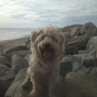timbo1