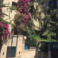 Diab96