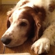 Phoebe2004