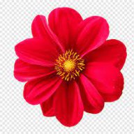 aajmalik75