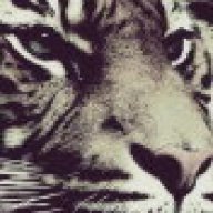Trevor 142