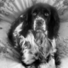 sally jane rosie7