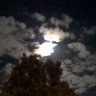 Twilightowl