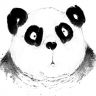 petmad47