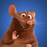 Emile_the_rat