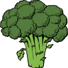 broccoliSK