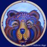 bearMedicine